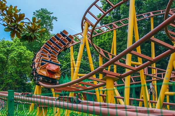 Snake Outdoor Family Roller Coasters