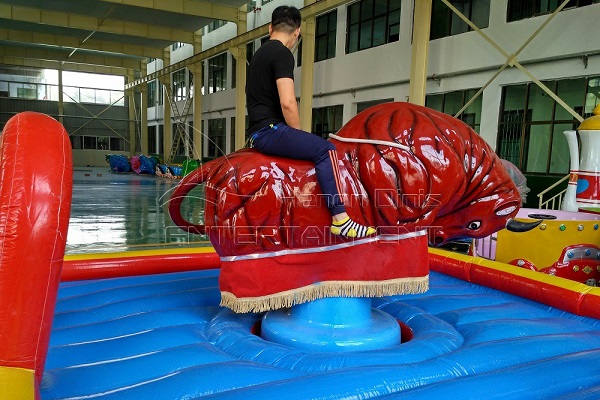 Mechanical Bull Ride for Adults