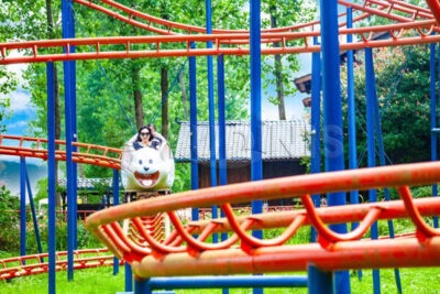 Small Rolo Coaster Small Roller Coaster for Sale | Types | Price | customization options